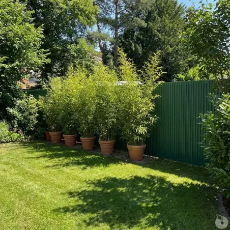Canisse PVC occultante 1,5x3m vert - Fixations incluses
