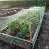 Filet de protection cultures 4x5m vert Progarden