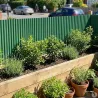 Canisse PVC occultante 1,5x5m vert - Fixations incluses