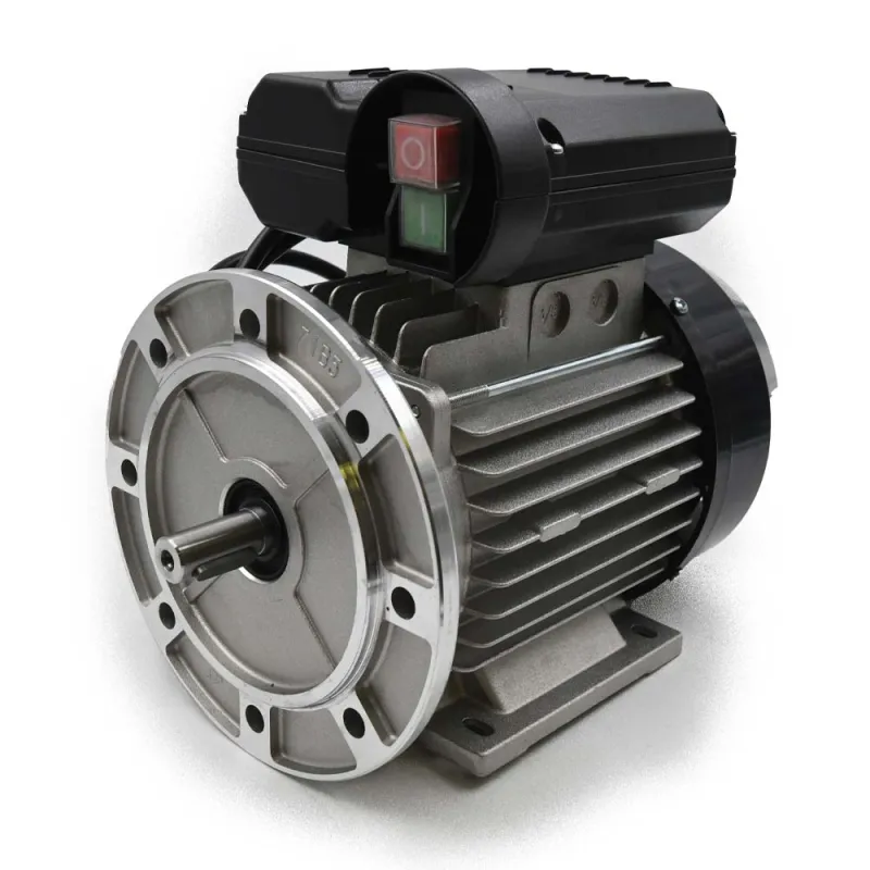 Moteur de rechange pour plumeuse Senesi Junior