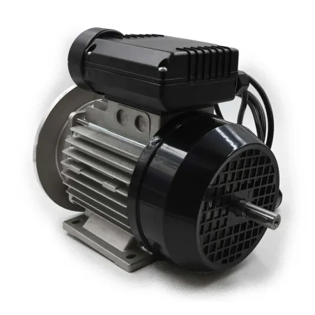 Moteur de rechange pour plumeuse Senesi Junior