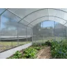 Serre jardin 3m avec aérations - Espace optimal