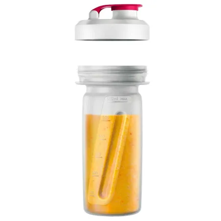 Blender nomade 350W sans BPA - 0,6L + gourde incluse