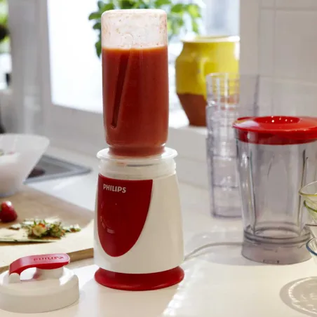 Blender nomade 350W sans BPA - 0,6L + gourde incluse