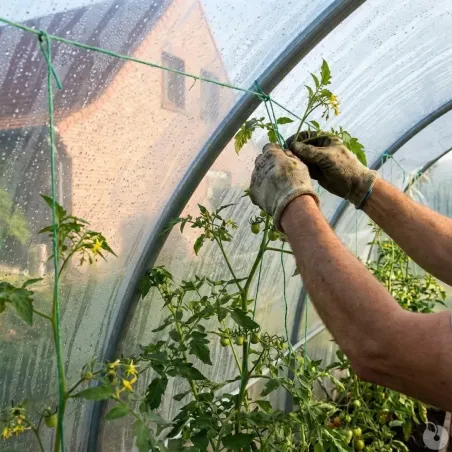 Serre jardin 3x4,5m - Essentielle pour cultures protégées