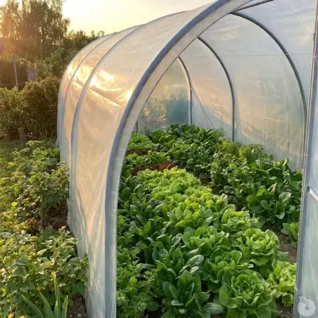 Serre jardin 3x4,5m - Essentielle pour cultures protégées