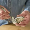 Cale-huîtres Pradel - Ouvre-coquillages sécurisé