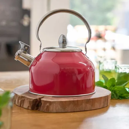 Bouilloire sifflet 2,5L tous feux induction - épaisseur 0,35mm