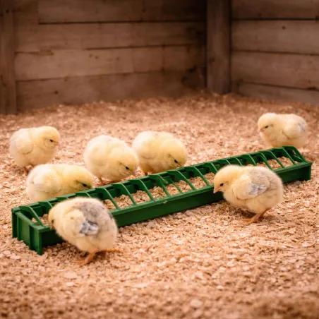 Mangeoire linéaire 50 cm pour poussins et cailles en plastique