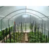 Serre jardin 3m avec aérations - Espace optimal
