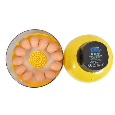 Couveuse manuelle 12 œufs pour débutants