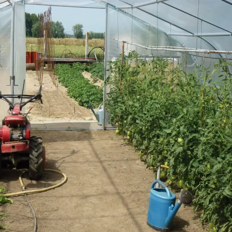 Serre jardin 5m avec aérations - Idéale pour cultures étendues