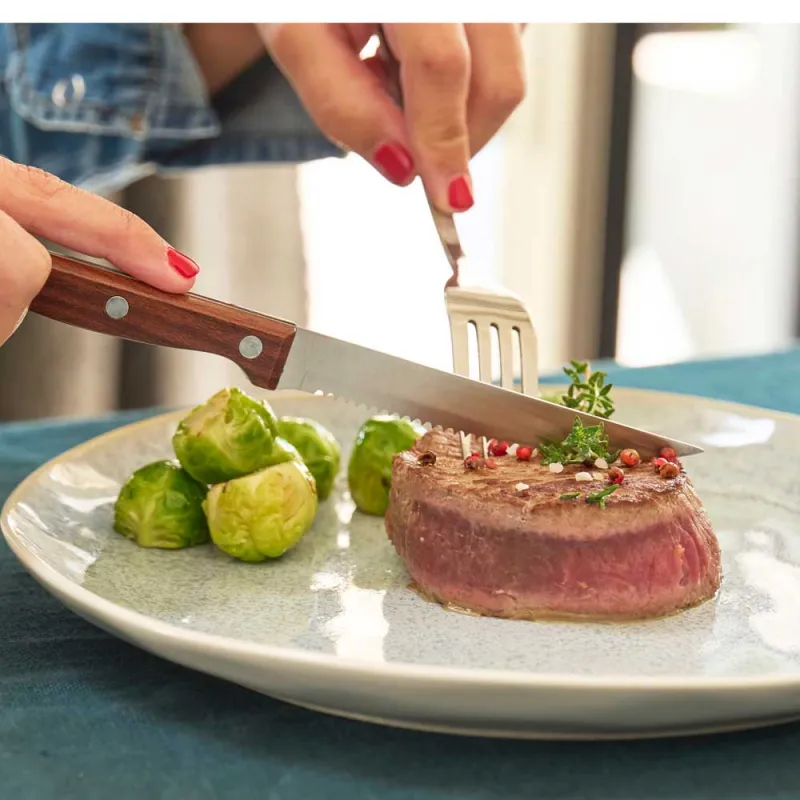 Lot de 6 couteaux steak inox 22cm effet bois dentelés