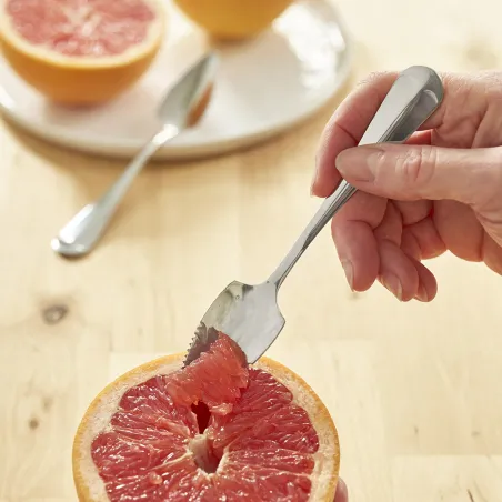 Lot de 2 cuillères à pamplemousse en inox Pradel France