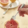Lot de 2 cuillères à pamplemousse en inox Pradel France