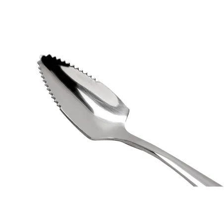 Lot de 2 cuillères à pamplemousse en inox Pradel France