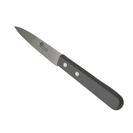 Lot de 4 couteaux office en acier inox - 19 cm