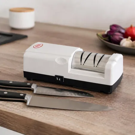 Aiguiseur électrique pro 2 disques 50W pour couteaux