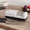 Aiguiseur électrique pro 2 disques 50W pour couteaux