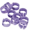 Bagues pigeon laser indélébiles 26-50 violet - Ø9mm
