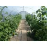 Mini serre jardin 3,70 m avec aération latérale