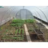 Mini serre jardin 3,70m avec aération latérale