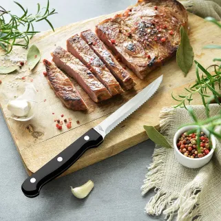Lot de 6 couteaux à steak 22 cm Pradel - Lame inox