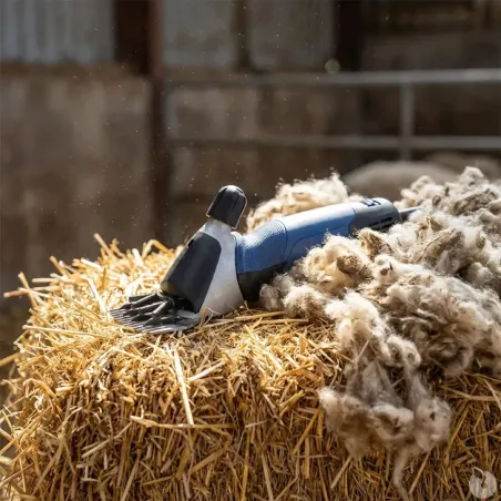 Tondeuse Heiniger Xpert pour moutons - Précision et confort
