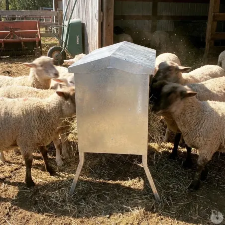 Râtelier extérieur 1M pour moutons et chèvres galvanisé