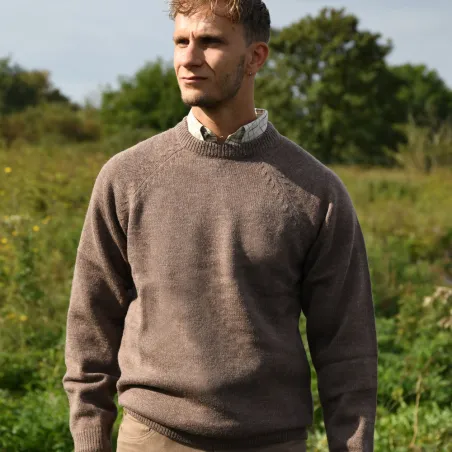 Pull laine col rond marron - Confort & style