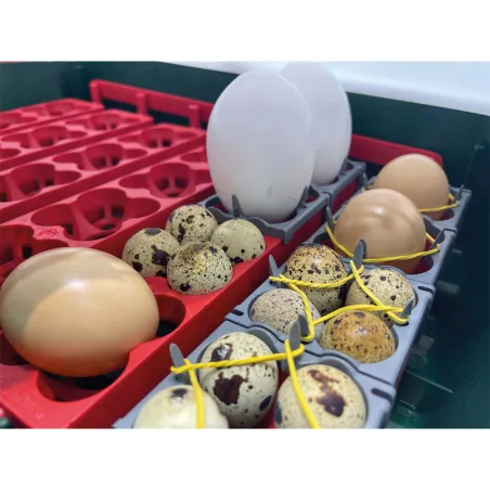 Adaptateur Stabila pour œufs - RIVER System 12/24/49p