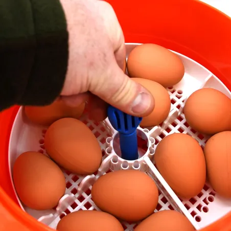 Couveuse auto Novital Covatutto 16L Pro - Élevage précis