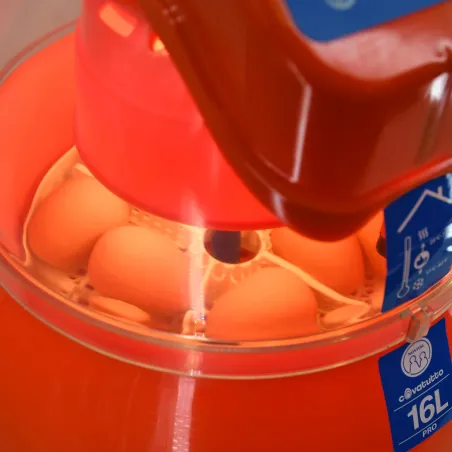 Couveuse auto Novital Covatutto 16L Pro - Élevage précis