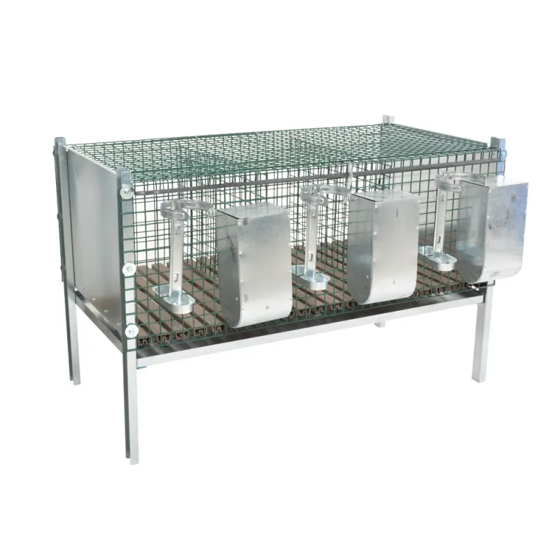 Clapier engraissement 3-6 lapins maille thermolaquée