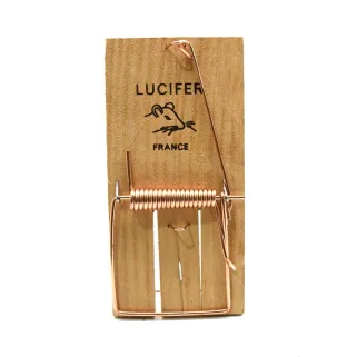 Lot de 10 tapettes à rats en bois 170x75 mm