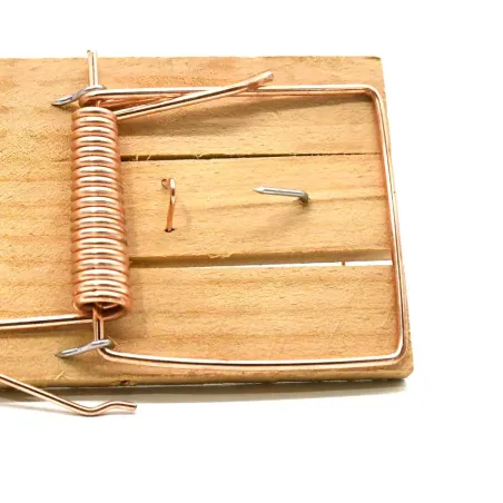 Lot de 10 tapettes à rats en bois 170x75 mm