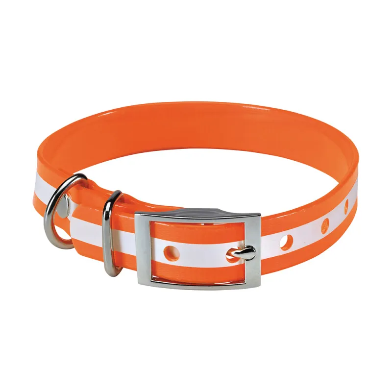 Collier chien phosphorescent orange 45 cm Stepland®