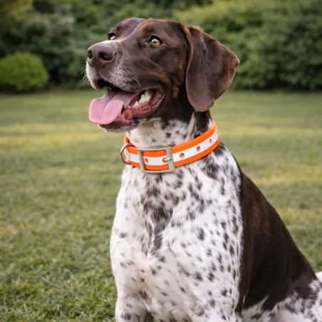 Collier chien phosphorescent orange 45 cm Stepland®