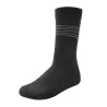 Chaussettes semaine 3 couleurs - Lot de 7 paires pratiques