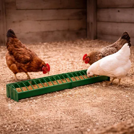 Mangeoire linéaire volailles 100 cm - plastique vert