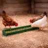 Mangeoire linéaire volailles 100 cm - plastique vert