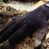 Gants Claw en laine mérinos - imperméables et respirants