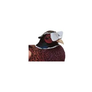 Lot de 5 antipicages Speed-lune pour volailles