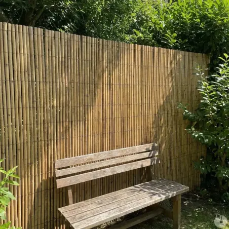 Canisse bambou 3m x 1,95m - Occultation naturelle