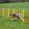 Kit agilité chien 3-en-1 : anneau, barre et slalom réglables