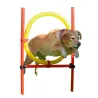 Kit agilité chien 3-en-1 : anneau, barre et slalom réglables