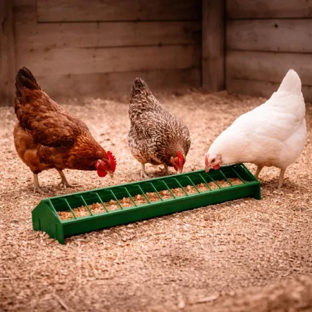 Mangeoire linéaire volailles 50 cm en plastique vert