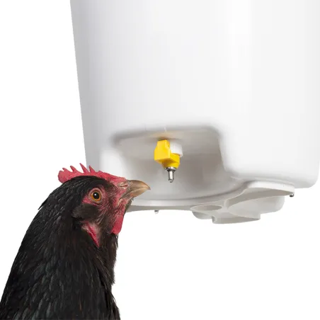 Abreuvoir 12L à 3 pipettes jaunes pour volailles - Olba