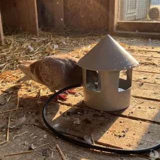 Abreuvoir à grit automatique pour pigeons - Ø 22 cm