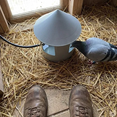 Abreuvoir à grit automatique pour pigeons - Ø 22 cm